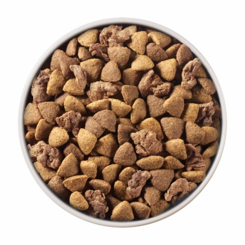 Purina ONE® SmartBlend® Lamb & Rice Formula Natural Adult Dry Dog Food Perspective: left