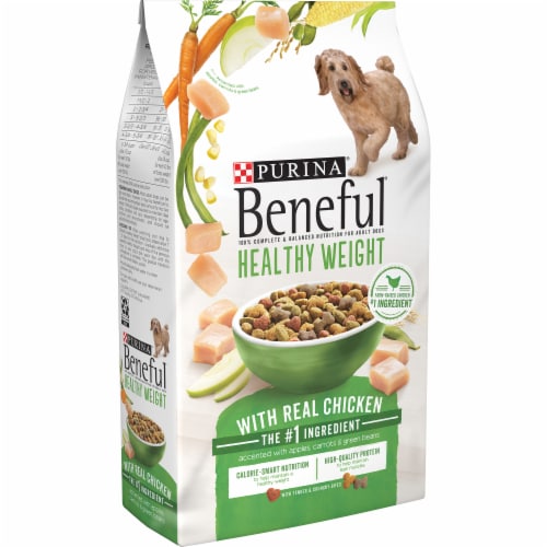 Beneful Healthy Weight with Real Chicken Dry Dog Food Perspective: left