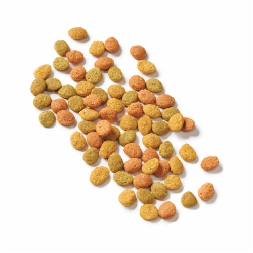 Cat Chow Indoor & Immune Health Blend Dry Cat Food Perspective: left