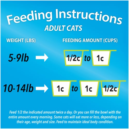 Purina Kit & Kaboodle Original Adult Dry Cat Food Chicken, Liver, Turkey, Ocean Fish Perspective: left