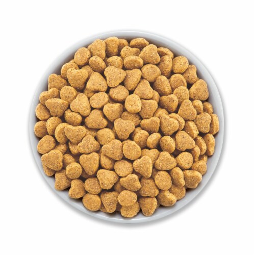 Beyond® Simply Natural White Meat Chicken & Whole Oat Meal Recipe Adult Dry Cat Food Perspective: left