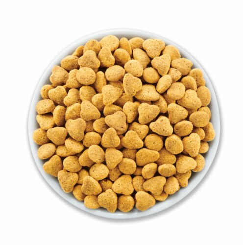 Purina® Beyond® Simpy Grain Free Salmon Egg & Sweet Potato Recipe Indoor Dry Cat Food Perspective: left