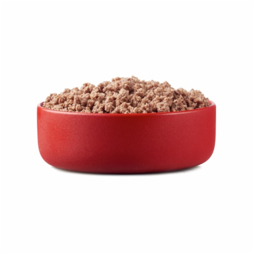 Purina ONE True Instinct Grain Free Wet Dog Food Classic Ground Real Game Bird Perspective: left
