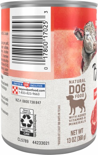 Beyond Grain Free Beef Potato and Green Bean Recipe Wet Dog Food Perspective: left