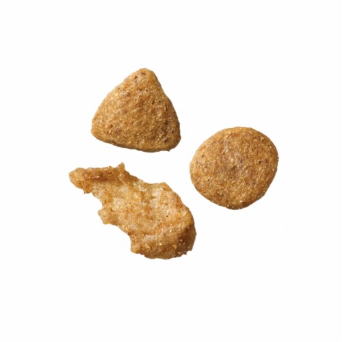 Purina ONE True Instinct High Protein Grain Free Adult Dry Cat Food Real Chicken Perspective: left