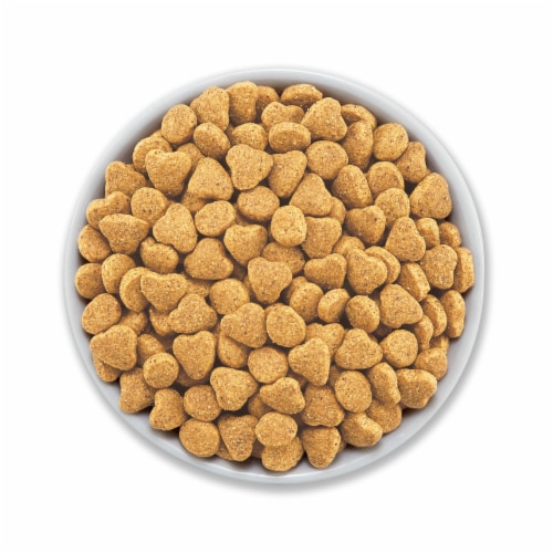 Purina Beyond Grain Free Adult Dry Cat Food White Meat Chicken & Egg Recipe Perspective: left