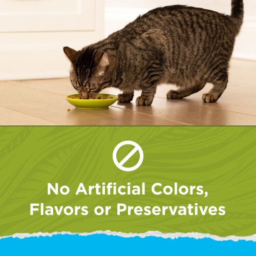Cat Chow Naturals Real Chicken & Turkey Dry Indoor Cat Food Perspective: left