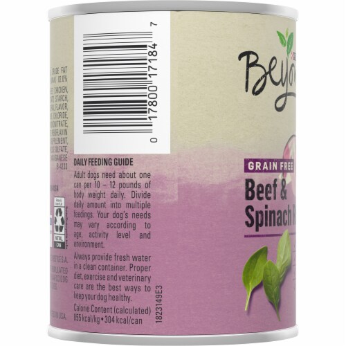 Beyond Grain Free Beef & Spinach Wet Dog Food Perspective: left