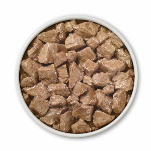 Purina ONE True Instinct Wet Dog Food Tender Cuts in Gravy Real Chicken & Duck Perspective: left