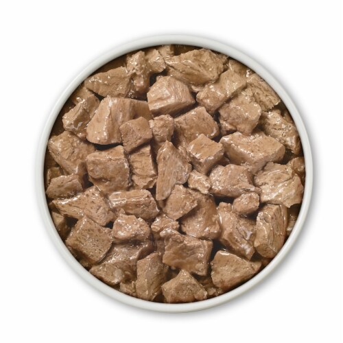 Purina ONE® SmartBlend® True Instinct Real Chicken & Duck in Gravy Adult Wet Dog Food Perspective: left