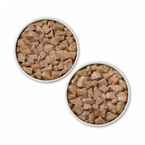 Purina ONE True Instinct Wet Dog Food Tender Cuts in Gravy Variety Pack Perspective: left