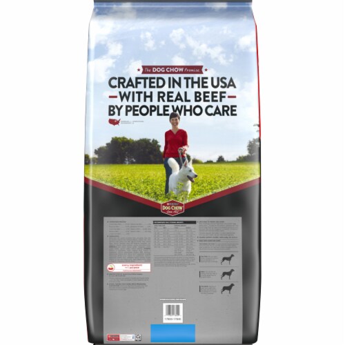 Dog Chow Complete Adult with Real Beef Dry Dog Food Perspective: left