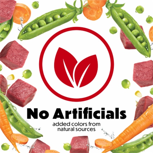 Purina Beneful Originals with Real Beef Adult Dog Food Perspective: left