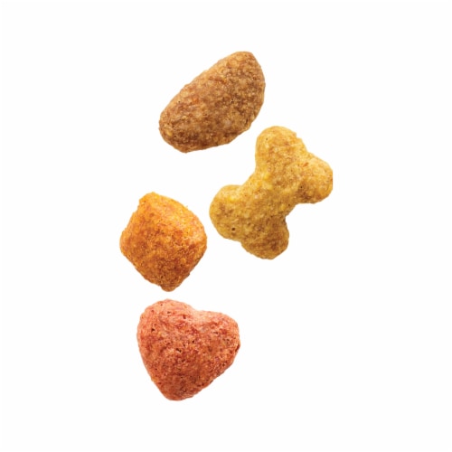 Purina Beneful Healthy Weight Natural Dry Dog Food with Farm-Raised Chicken Perspective: left