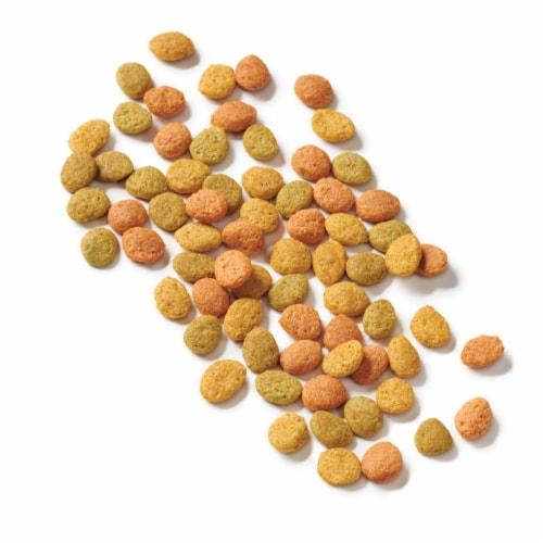 Purina® Cat Chow® Indoor Adult Dry Cat Food Perspective: left