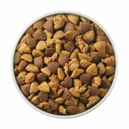 Purina ONE +Plus Joint Health Adult Dry Dog Food Real Chicken Perspective: left