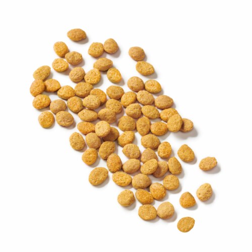 Purina Cat Chow Senior Essentials 7+ Immune + Joint Health Dry Cat Food Perspective: left