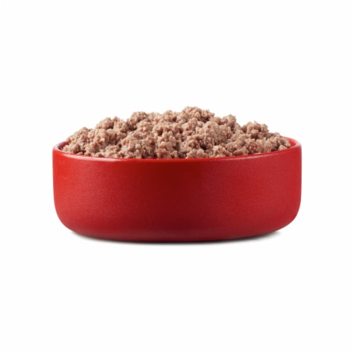 Purina ONE True Instinct Grain Free Wet Dog Food Classic Ground Real Beef & Bison Perspective: left