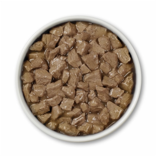 Purina ONE True Instinct Grain Free Wet Dog Food Tender Cuts in Gravy Real Beef & Bison Perspective: left