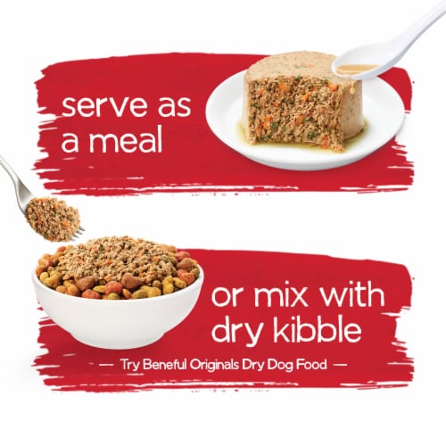 Beneful soft food sale