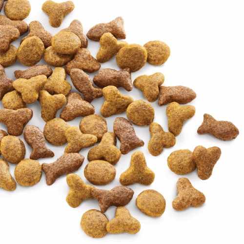 Purina Cat Chow Complete Dry Cat Food Real Salmon Perspective: left