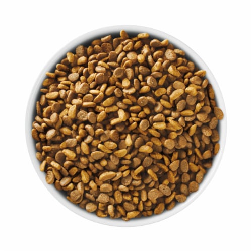 Purina ONE +Plus Healthy Kitten Natural Dry Cat Food Real Chicken Perspective: left