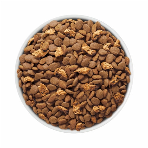 Purina ONE® Tender Selects Blend with Real Salmon Natural Dry Cat Food Perspective: left