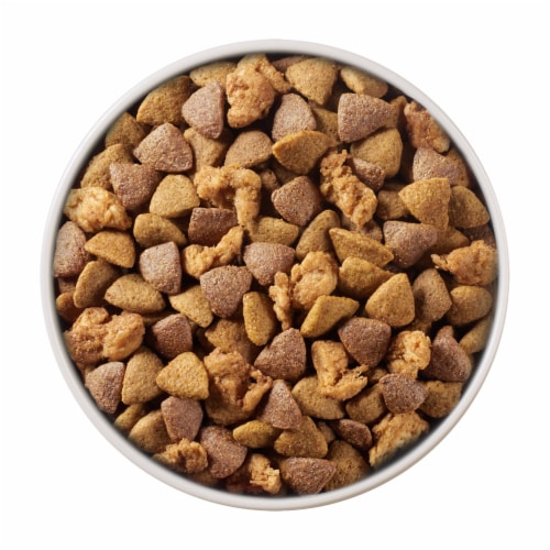 Purina ONE® SmartBlend® Chicken & Rice Formula Natural Dry Adult Dog Food Perspective: left