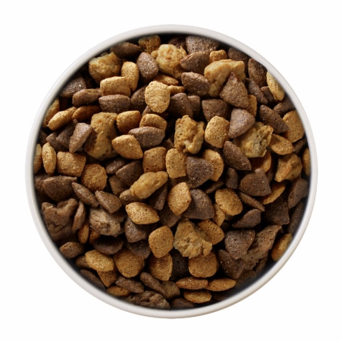 Purina ONE High Protein Healthy Weight Turkey Flavor Adult Dry Dog Food Perspective: left