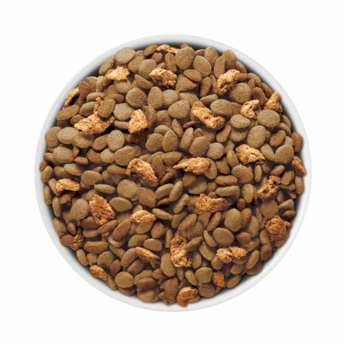 Purina ONE® Tender Selects Blend with Real Chicken Natural Adult Dry Cat Food Perspective: left