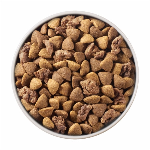 Purina ONE High Protein Adult Dry Dog Food Lamb & Rice Perspective: left