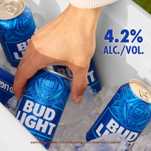 Bud Light American Light Lager Beer Perspective: left