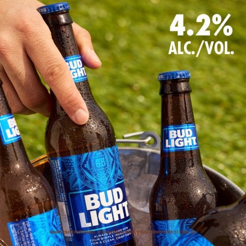 Bud Light American Light Lager Beer Perspective: left