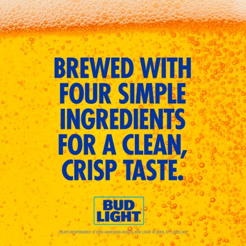 Bud Light American Light Lager Beer Perspective: left