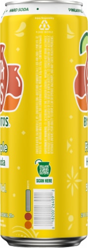 Jarritos Cantaritos Pineapple Hard Soda Perspective: left