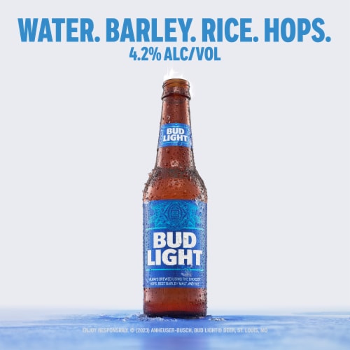 Bud Light American Light Lager Beer Perspective: left