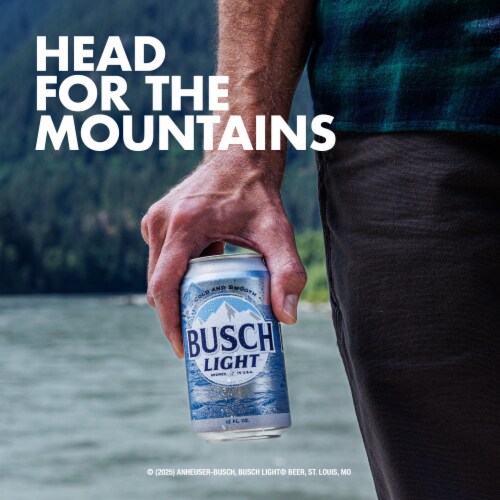 Busch Light American Light Lager Beer Perspective: left