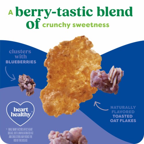 Kashi Blueberry Clusters Cereal Perspective: left