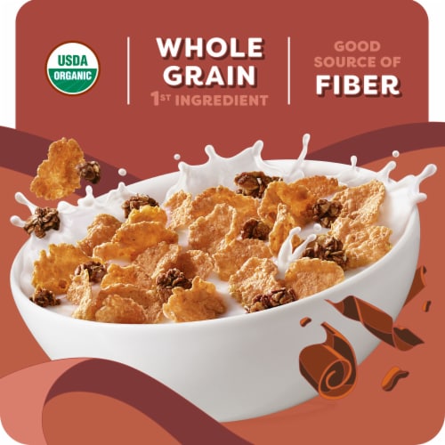 Kashi Cocoa Clusters Cereal Perspective: left