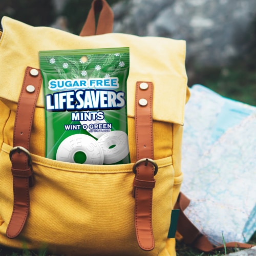LIFE SAVERS Wint O Green Sugarfree Mints Candy Bag Perspective: left