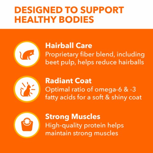 Iams Proactive Health Adult Dry Cat Food Hairball Care Chicken and Salmon Perspective: left