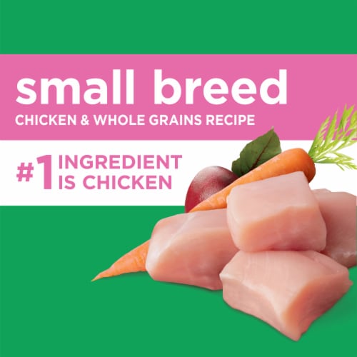 Iams toy breed dog food sale