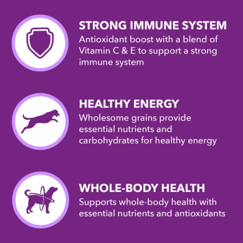 IAMS Advanced Health Immune Health Chicken & Superfoods Adult Dry Dog Food Perspective: left