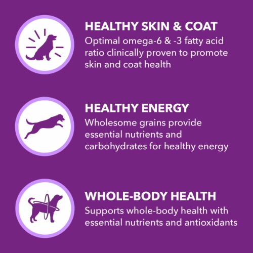 IAMS Advanced Health Skin & Coat Chicken and Salmon Adult Dry Dog Food Perspective: left