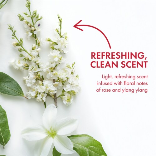Ban Invisible Roll-on Antiperspirant and Deodorant for Women and Men, Regular Scent Perspective: left