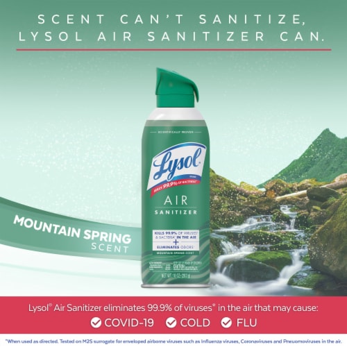 Lysol® Air Sanitizer Rainwashed Bamboo Scent Perspective: left
