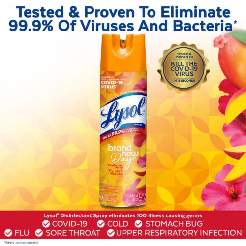 Reckitt Benckiser 1014230 19 oz Mango & Hibiscus Scent Disinfectant Spray Perspective: left