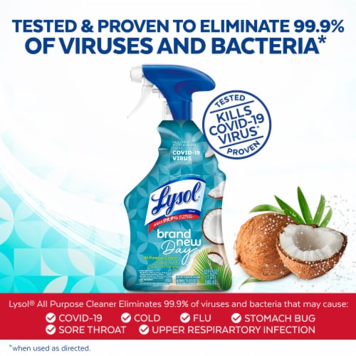 Lysol Brand New Day All Purpose Cleaner Spray, Disinfecting Spray, Coconut and Sea Minerals Perspective: left