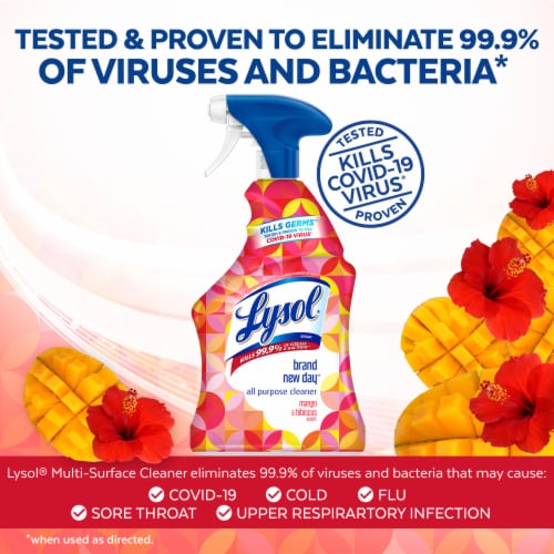 Lysol Brand New Day Bathroom Cleaning Spray Mango and Hibiscus Perspective: left