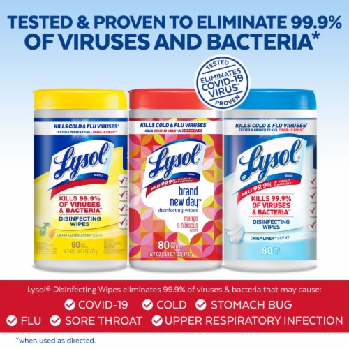 Lysol Disinfecting Wipes Variety Pack Perspective: left